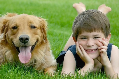 Pourquoi mon chien aime-t-il autant les enfants ?