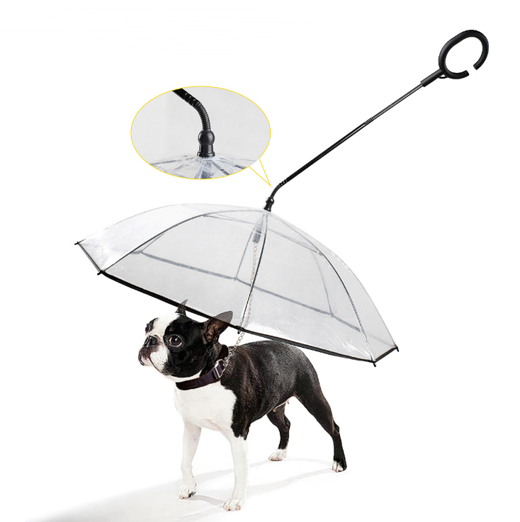 Parapluie avec Laisse intégré | Pour Chien - TERRE ET TRUFFES
