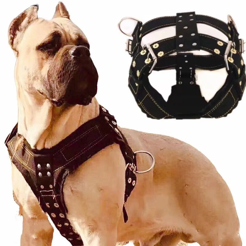 Ultra-Resistant Traction Harness for Dogs in Black Nylon