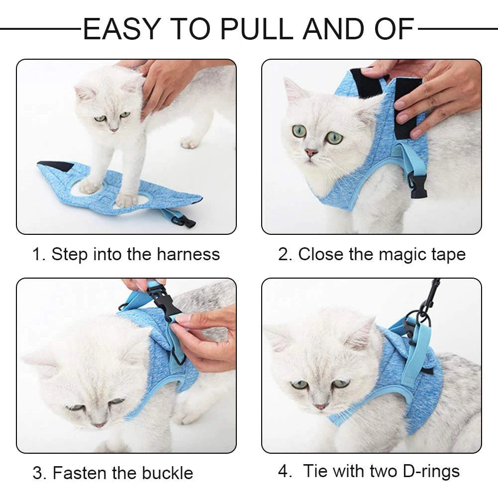 Padded nylon cat harness 4 colors