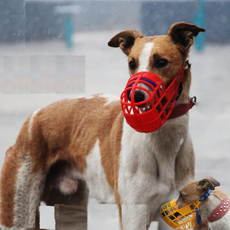 Durable plastic muzzle for dogs - 7 colors