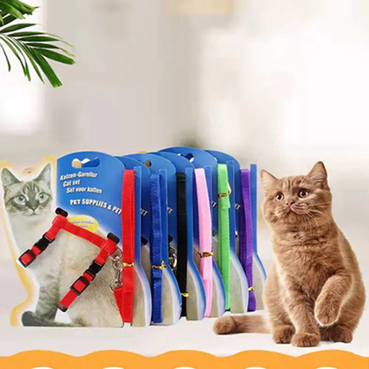 Harnais avec laisse réglable en Nylon pour chat - 6 coloris