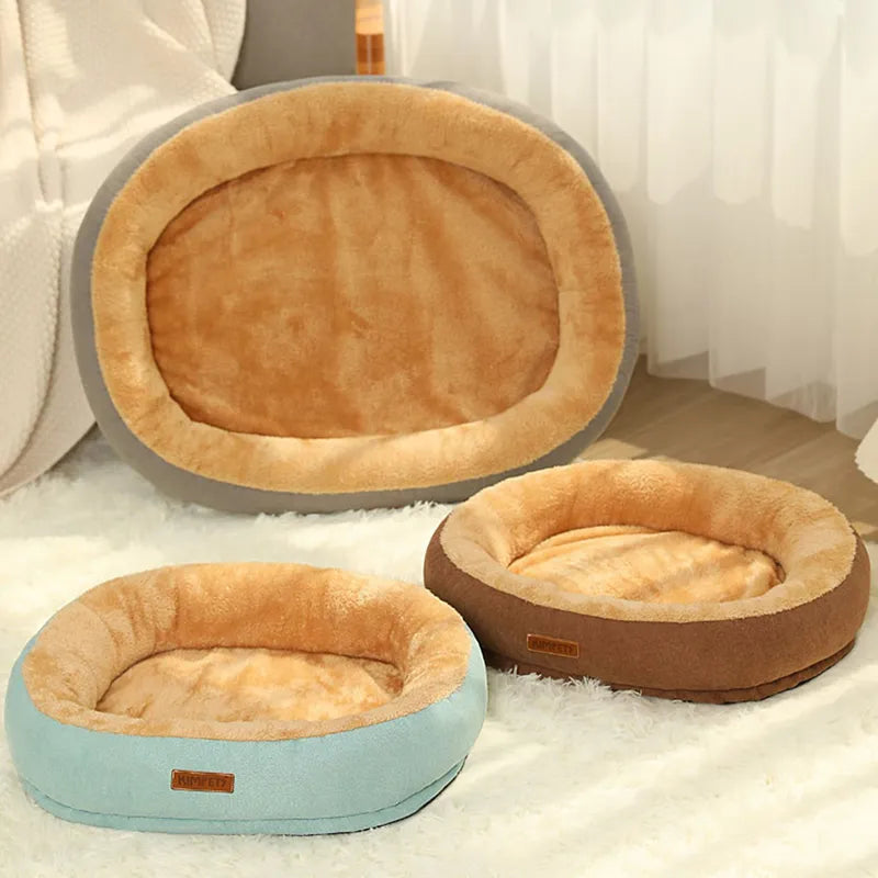 XXL design bed for green cats and dogs
