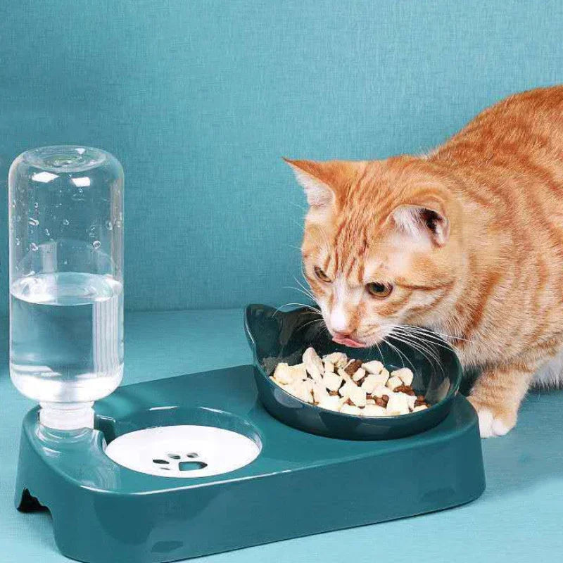 Gamelle et distributeur d'eau pour chat et petit chien