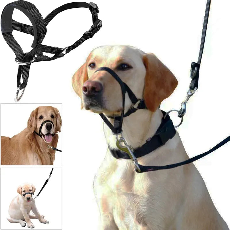 Adjustable Nylon Harness Muzzle for Dogs - 5 Colors