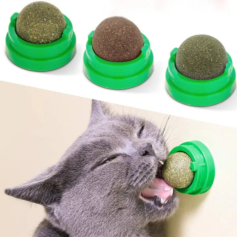 White "catnip" natural wall stick-on ball for cats