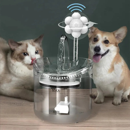 Fontaine d'eau intelligente transparente 2L pour chat avec filtres - 14 modèles