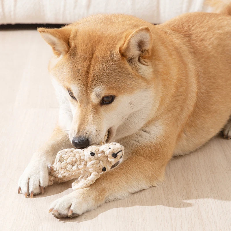 Animal Shaped Plush Rope Chew Toy for Dogs