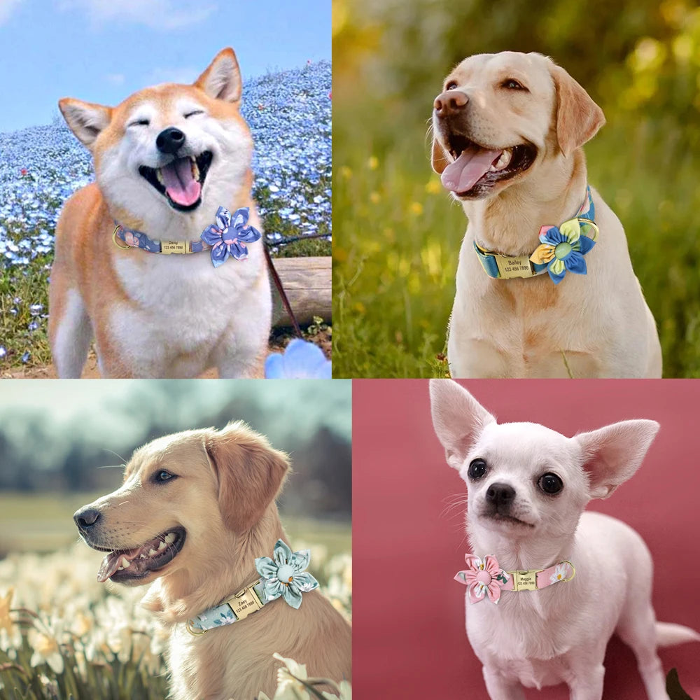 Customizable designer collar with pattern for dogs and cats - 20 colors