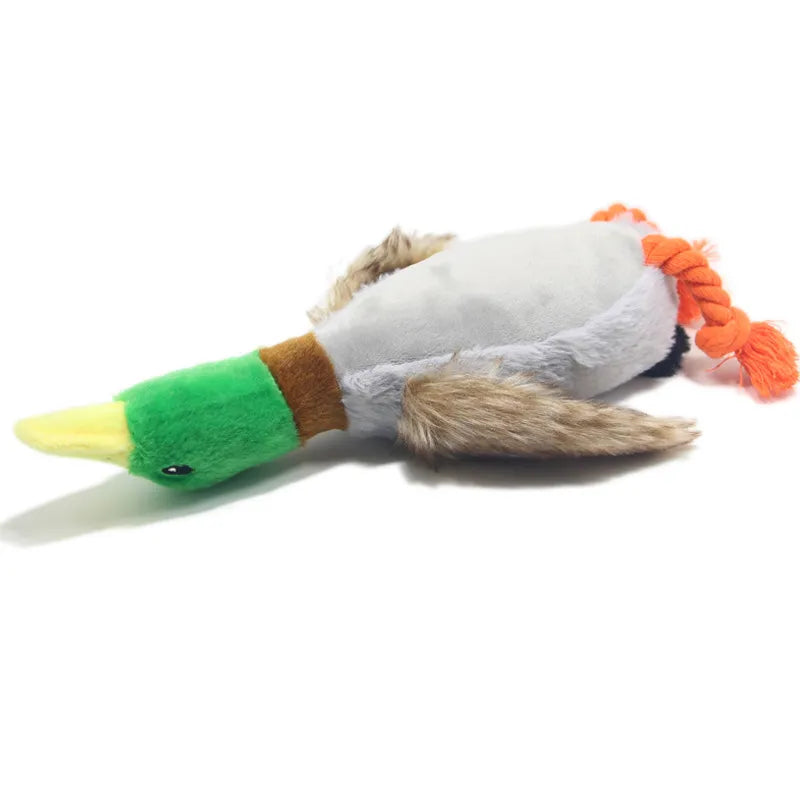 Peluche couineur pour chien en forme de canard - 3 modèles