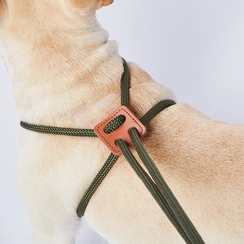 Military green nylon harness with integrated leash and anti-friction chest strap for dogs and cats