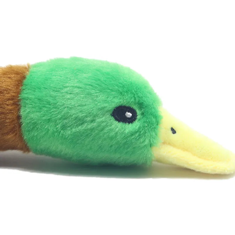 Squeaky duck-shaped dog plush toy - 3 models