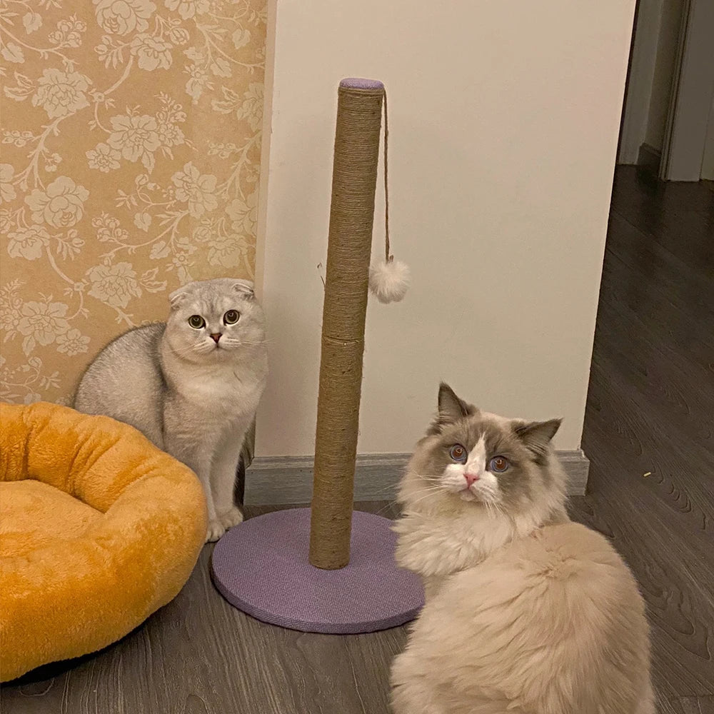 Poteau Grattoir pour chat avec balle 64cm x 30cm