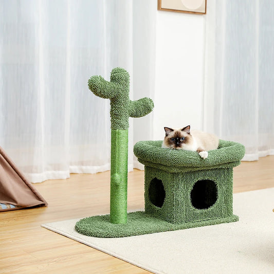Cactus griffoir avec Maison pour chat