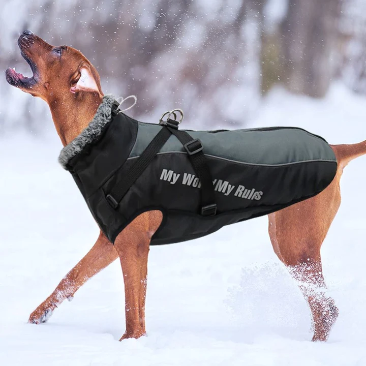 Manteau avec harnais integre Pour Grand Chien 5 coloris