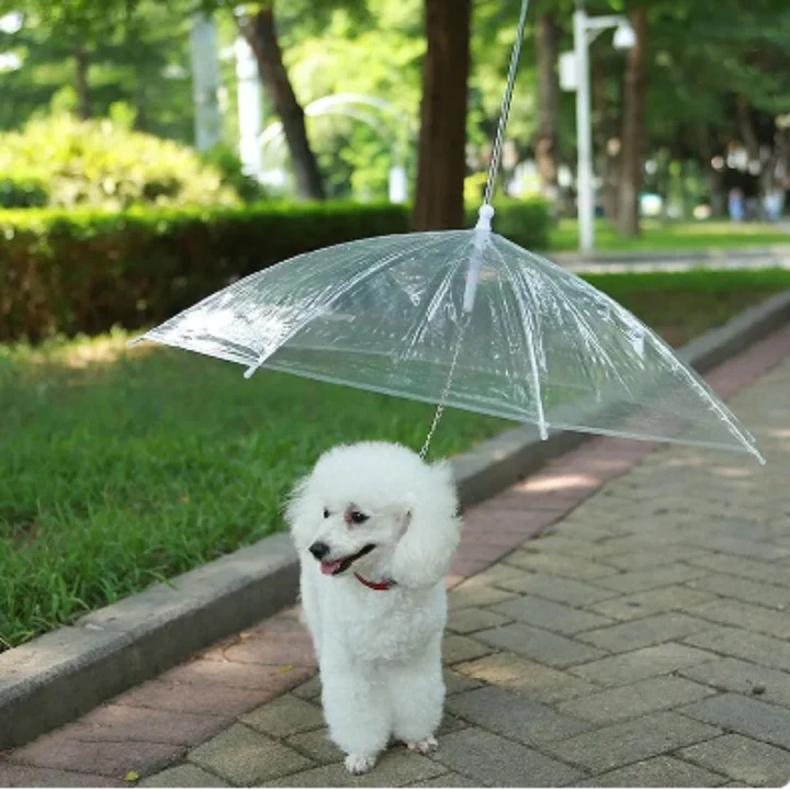 Kowaku Regenschirm Für Hunde – Transparenter Haustier-Regenschirm Mit Leine, Wasserfest, Für Kleine Hunde – Schützt Vor Regen, Schnee & Wind – Inklusive Leine – Rundum Sicht