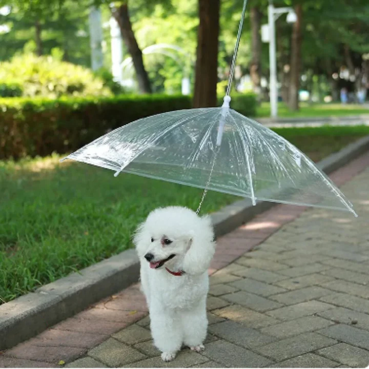 Parapluie avec Laisse intégré | Pour Chien - TERRE ET TRUFFES