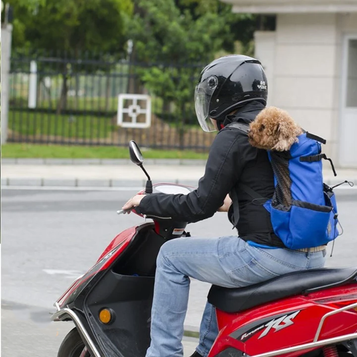 Sac à dos | Pour Chien - TERRE ET TRUFFES